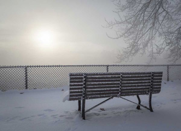 Canada, Ottawa Fog-shrouded winter scene